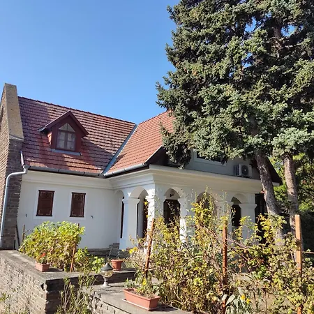 Katerina Vendeghaz Πανσιόν 3*